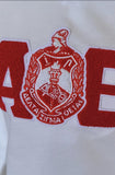 Alpha Beta of DST (Fisk Univ.)